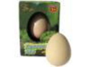 Growing Crocodile Egg