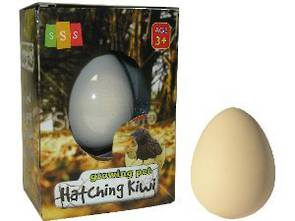Growing Pet Hatching Kiwi