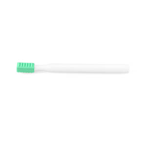 ARK's Oral Motor proMini