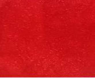 Cakeboard Paper Red Fern Leaf 510mm (10m)