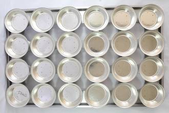 Palletized Pie Tins, (24) Round tins 113x31.5mm, Tray size 720x460mm