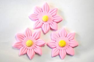 Icing Pink Daisy, 35mm. Box of 120