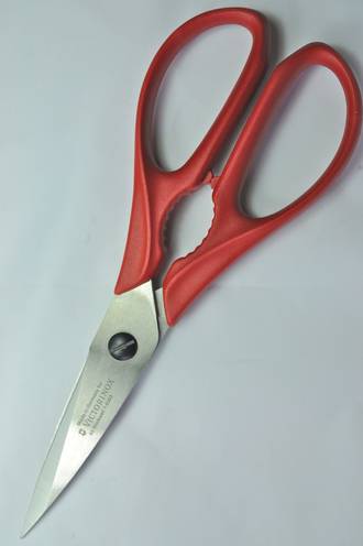 Kitchen Scissors, Stainless Steel