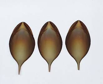 Chocolate Leaf, Marbled Dark/White 50mmx24mm (333)