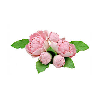 5  Single Peonies With Leaves,  Pink,  Assorted Sizes