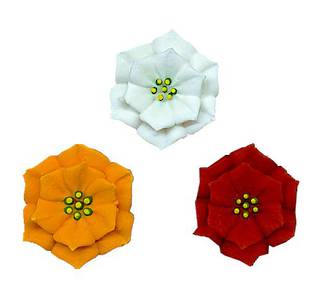 Poinsettia Flowers, Assorted, 30mm, 2D Icing (Retail Box of 8)