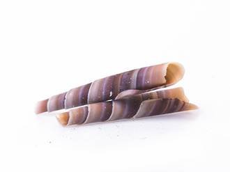 Chocolate Chobly Springs, Marbled (135PC)