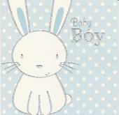 OML003 - Baby Boy