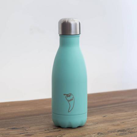 Chilly's Insulated Bottle Pastel Green 260ml
