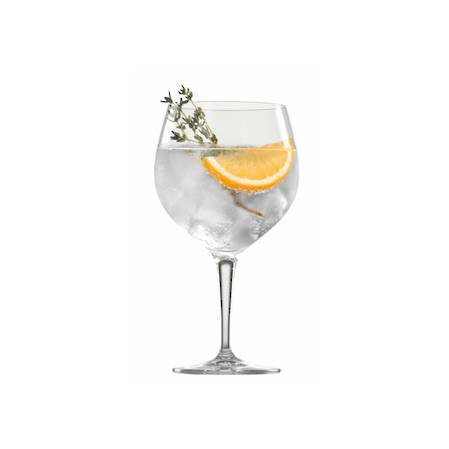 BBQ Drinks Gin & Tonic Glass - Set 6