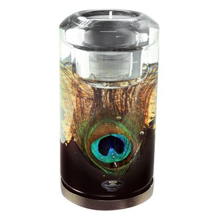 Dreamlight Peacock Candela LED