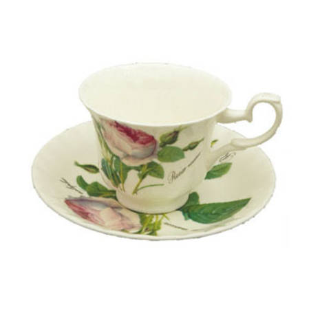 Redoute Rose Tea Cup & Saucer