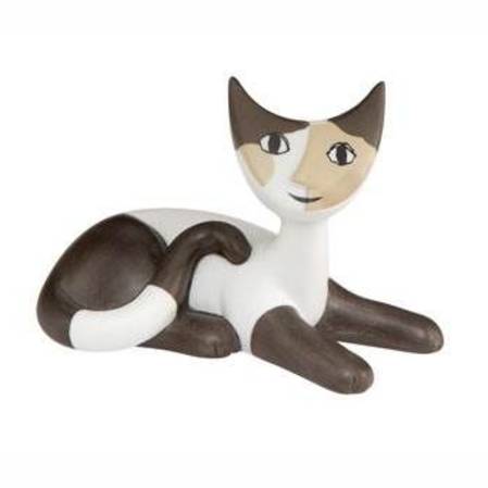 Cat 'Egidio'