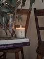 Arrowtown Snowberry Candle