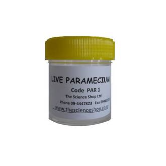Paramecium live culture