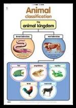 Animal Classification - Poster