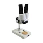 Microscope  Stereo Binocular  40X Mag. without illumination,