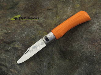 Antonini Knives Old Bear Young XS Children's Pocket Knife with Blunt, XS, Orange Wood Handle, 420 Stainless Steel - 9351-15_MOK