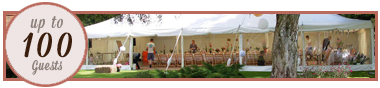 Marquee Hire 100 guests