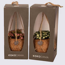 Kokodama 12cm Hanging Sixteen Plant Package