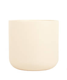 Ivy 16cm Cream Matte Ceramic Pot