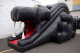 Bouncy Castles - Panther Slide