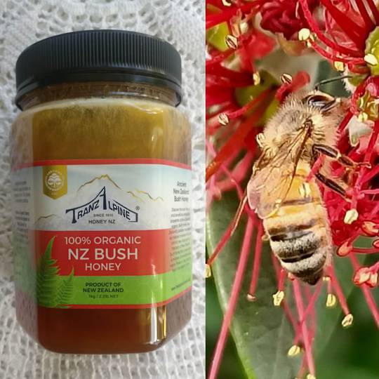 Organic Bush Honey