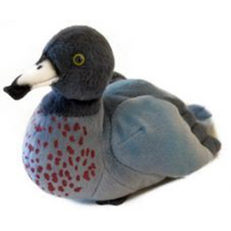 Sound Bird Blue Duck (Whio Whio)