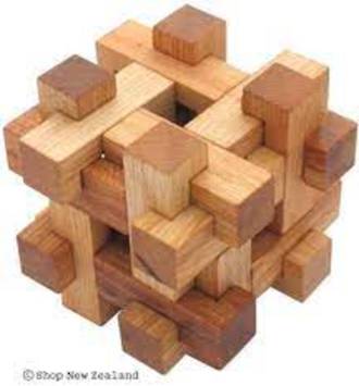 Tarata Toys- Cell Puzzle