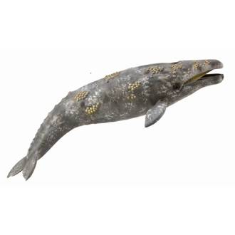 CollectA Grey Whale 88836