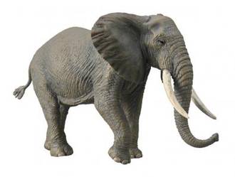 CollectA African Bush Elephant 88966