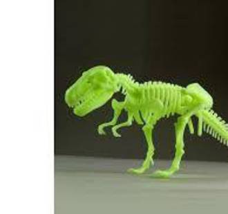 Edu-Toys Glow-in-the-Dark Tyrannosaurus Rex Skeleton