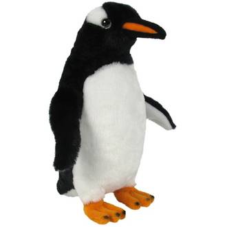 Sound Bird Gentoo Penguin