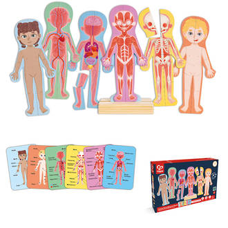 Hape Human Body Magnetic Puzzle