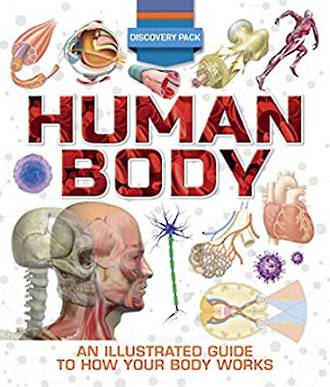 Human Body Discovery Pack