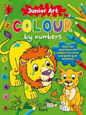 Junior Art Colour by Numbers Lion