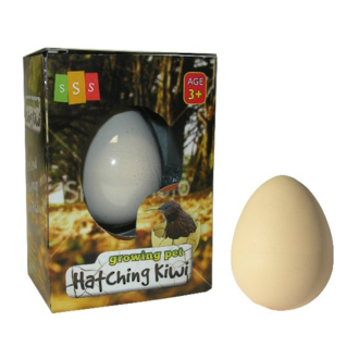 Hatching Kiwi Egg - Small