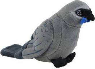 Sound Bird Kokako
