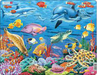 Larsen Puzzle Marine Life On A Coral Reef (35 pc)