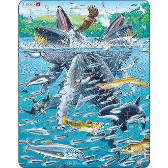 Larsen Puzzle Humpback Whales in a School of Herrings (140pc)