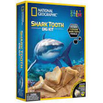 National Geographic Shark Tooth Dig Kit