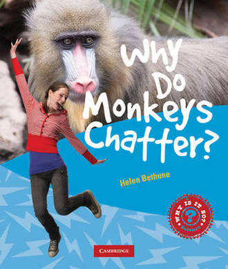 Why Do Monkeys Chatter