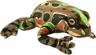 Antics Archey's Frog Soft Toy