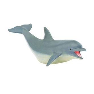 Safari - Dolphin