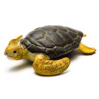 CollectA Loggerhead Turtle 88094