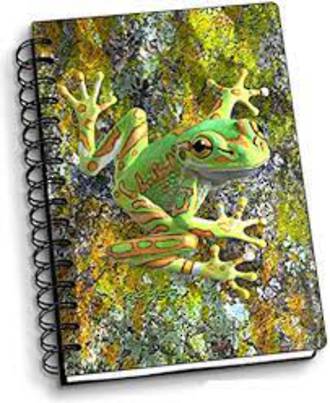Artgame 3D Notebook - Frog