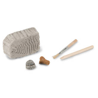Fossil Dig - Paleontology Kit