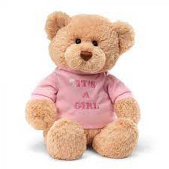 Gund Bear: It's A Girl Pink 30cm