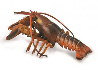 CollectA Lobster 88920