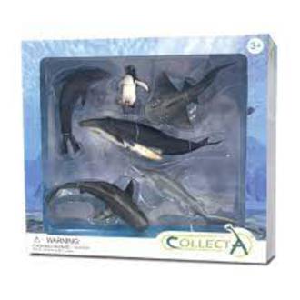COLLECTA 6pc Sea Life Boxed Set